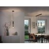 Paul-Neuhaus PURE-VEGA Hanglamp LED Zwart, 3-lichts
