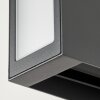 Hoods Buiten muurverlichting LED Antraciet, 3-lichts