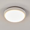 Centinela Buitenshuis plafond verlichting LED Antraciet, Wit, 1-licht