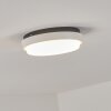Centinela Buitenshuis plafond verlichting LED Antraciet, Wit, 1-licht