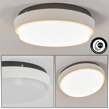 Centinela Buitenshuis plafond verlichting LED Antraciet, Wit, 1-licht