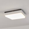 Gomero Buitenshuis plafond verlichting LED Antraciet, Wit, 1-licht