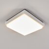 Gomero Buitenshuis plafond verlichting LED Antraciet, Wit, 1-licht