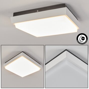 Gomero Buitenshuis plafond verlichting LED Antraciet, Wit, 1-licht