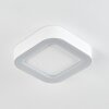 Paleroo Buitenshuis plafond verlichting LED Wit, 1-licht