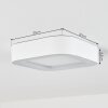 Paleroo Buitenshuis plafond verlichting LED Wit, 1-licht