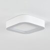 Paleroo Buitenshuis plafond verlichting LED Wit, 1-licht