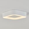 Paleroo Buitenshuis plafond verlichting LED Wit, 1-licht