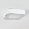 Paleroo Buitenshuis plafond verlichting LED Wit, 1-licht
