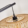 Callide Staande lamp Zwart, 1-licht
