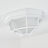 Ibacache Buitenshuis plafond verlichting Wit, 1-licht