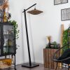 Shelbourne Staande lamp Zwart, 1-licht