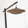 Shelbourne Staande lamp Zwart, 1-licht