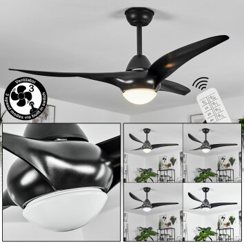 Malloa plafondventilator LED Zwart, 1-licht, Afstandsbediening