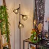 Omba Staande lamp Natuurlijke kleuren, Zwart, 3-lichts