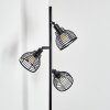 Omba Staande lamp Natuurlijke kleuren, Zwart, 3-lichts