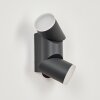 Hoods Buiten muurverlichting LED Antraciet, Wit, 1-licht