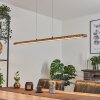 Guacacallo Hanglamp LED Zwart, 1-licht