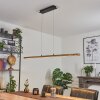 Guacacallo Hanglamp LED Zwart, 1-licht