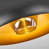 Gaudi Plafondlamp Goud, Zwart, 1-licht