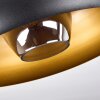 Gaudi Plafondlamp Goud, Zwart, 1-licht