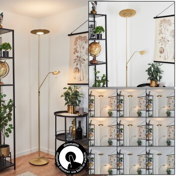 Confluencia Staande lamp LED Messing, 2-lichts