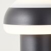 Brilliant Ilton Buiten staande lamp LED Zwart, 1-licht