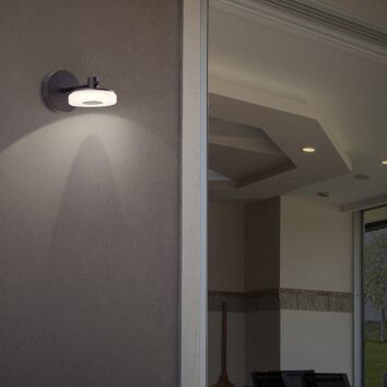 Brilliant Seaham Buiten muurverlichting LED Zwart, 1-licht