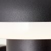 Brilliant Ilton Buiten muurverlichting LED Zwart, 1-licht, Bewegingsmelder