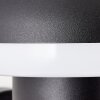 Brilliant Ilton Buiten muurverlichting LED Zwart, 1-licht, Bewegingsmelder