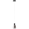 Brilliant Carlson Hanger LED Zwart, 1-licht