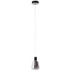 Brilliant Carlson Hanger LED Zwart, 1-licht