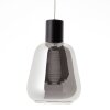 Brilliant Carlson Hanger LED Zwart, 1-licht