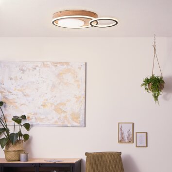 Brilliant Karney Plafondlamp LED Bruin, Zwart, 1-licht