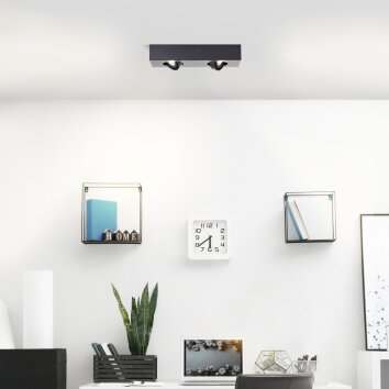 Brilliant Doro Plafondlamp LED Zwart, 2-lichts