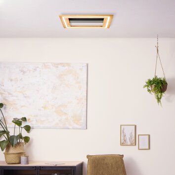 Brilliant Rhea Plafondlamp LED Bruin, Zwart, 1-licht