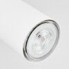 Javel Plafondlamp Chroom, Wit, 2-lichts