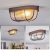 Chaquire Plafondlamp Bruin, Roest, 1-licht