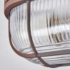Chaquire Plafondlamp Bruin, Roest, 1-licht