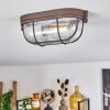 Chaquire Plafondlamp Bruin, Roest, 1-licht