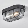 Quintay Plafondlamp Zwart, 1-licht