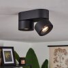 Laonsana Plafondlamp LED Zwart, 2-lichts