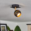 Tome Plafondlamp LED Messing, Zwart, 1-licht