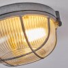 Chaquire Plafondlamp Grijs, 1-licht