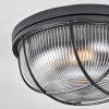 Quintay Plafondlamp Zwart, 1-licht