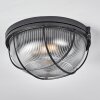 Quintay Plafondlamp Zwart, 1-licht
