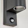 Kingstown Buiten muurverlichting Antraciet, Transparant, Helder, 2-lichts, Bewegingsmelder