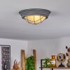 Coltauco Plafondlamp Grijs, 1-licht
