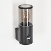 Caragua Buiten muurverlichting Antraciet, 1-licht, Bewegingsmelder