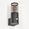 Caragua Buiten muurverlichting Antraciet, 1-licht, Bewegingsmelder